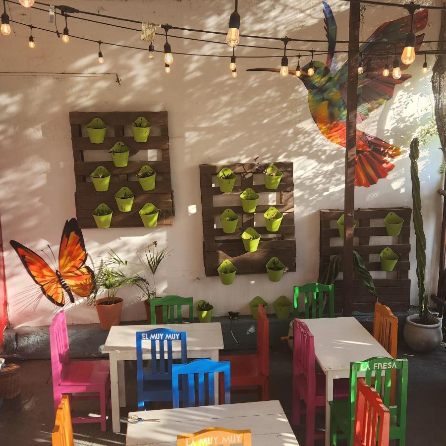 Villa Casa Frida Tulum Exterior foto